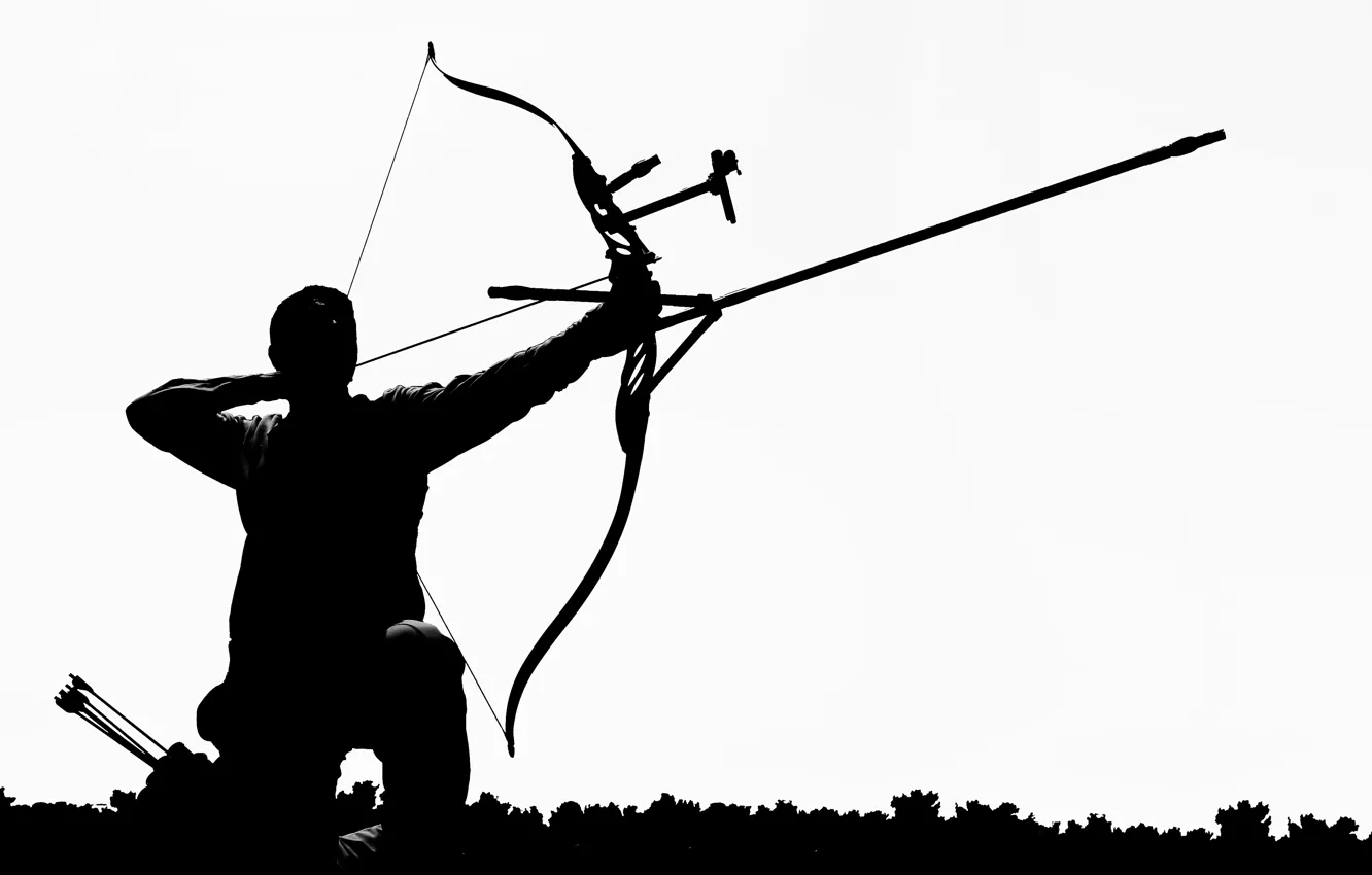 Photo wallpaper silhouette, Arrow, darter