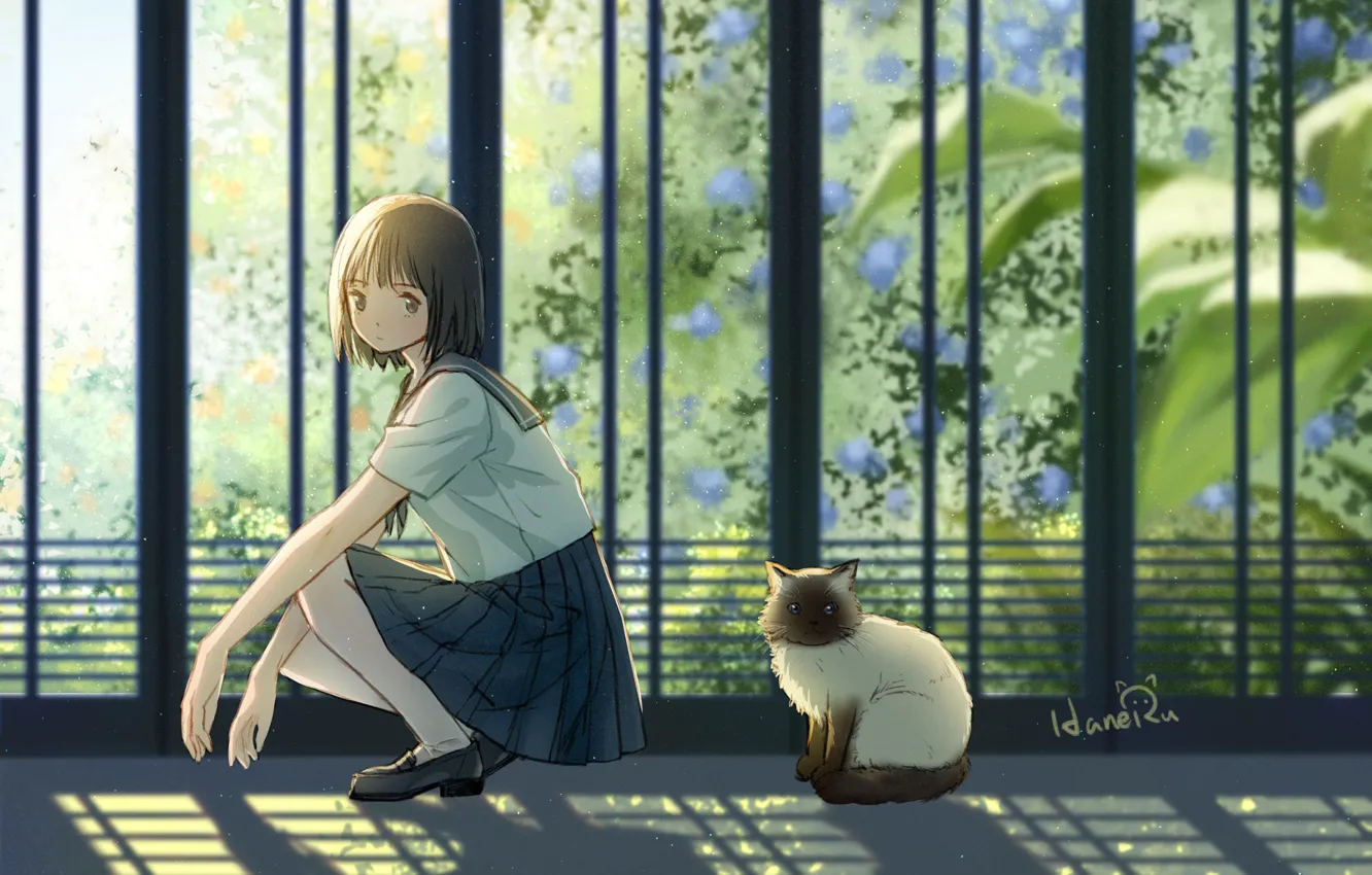 Photo wallpaper cat, anime, girl