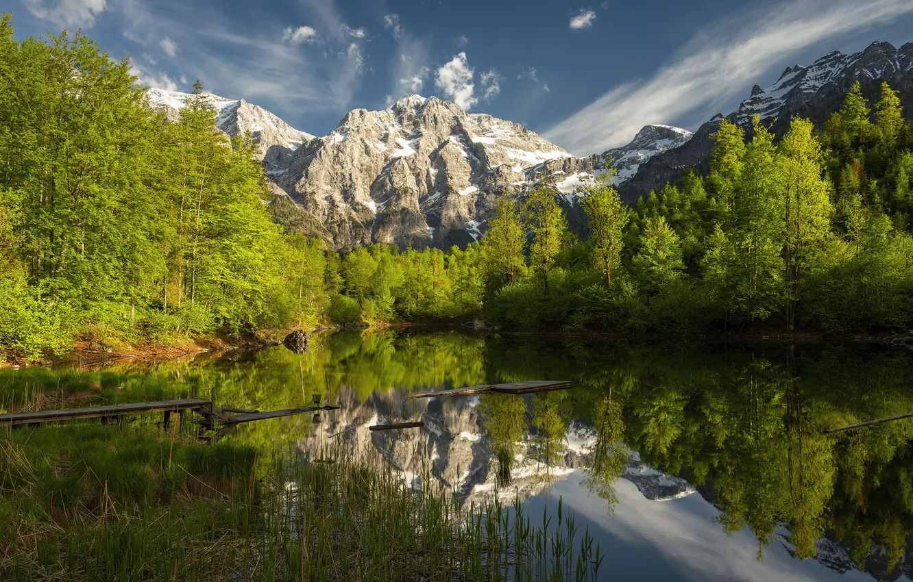 Photo wallpaper greens, forest, summer, clouds, light, mountains, lake, reflection