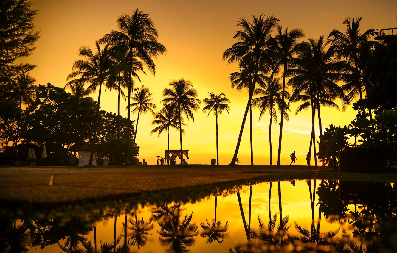 Photo wallpaper the sun, light, sunset, palm trees, stay, shore, people, silhouette