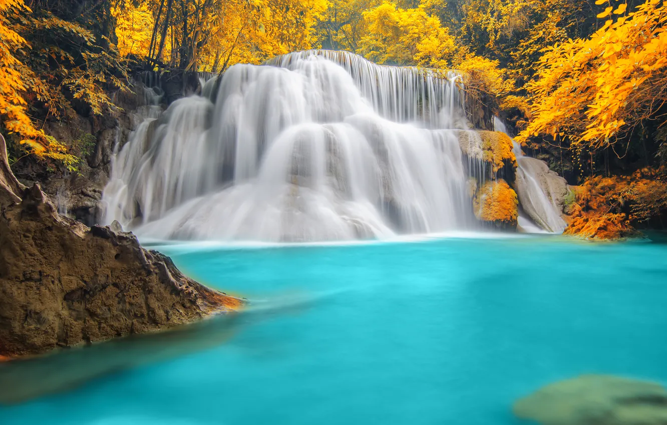 Photo wallpaper autumn, forest, trees, nature, river, waterfall, forest, trees