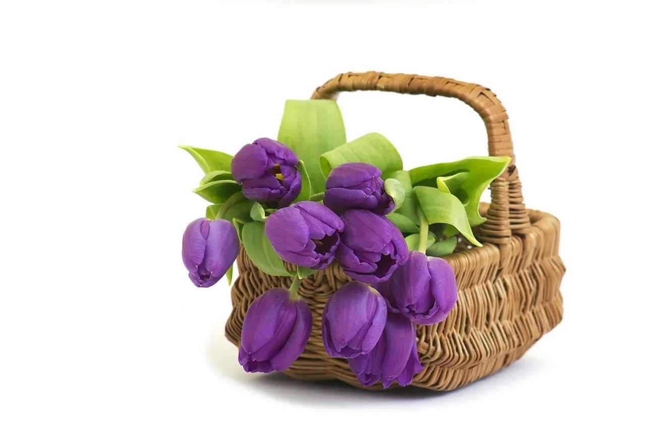 Photo wallpaper basket, tulips, buds