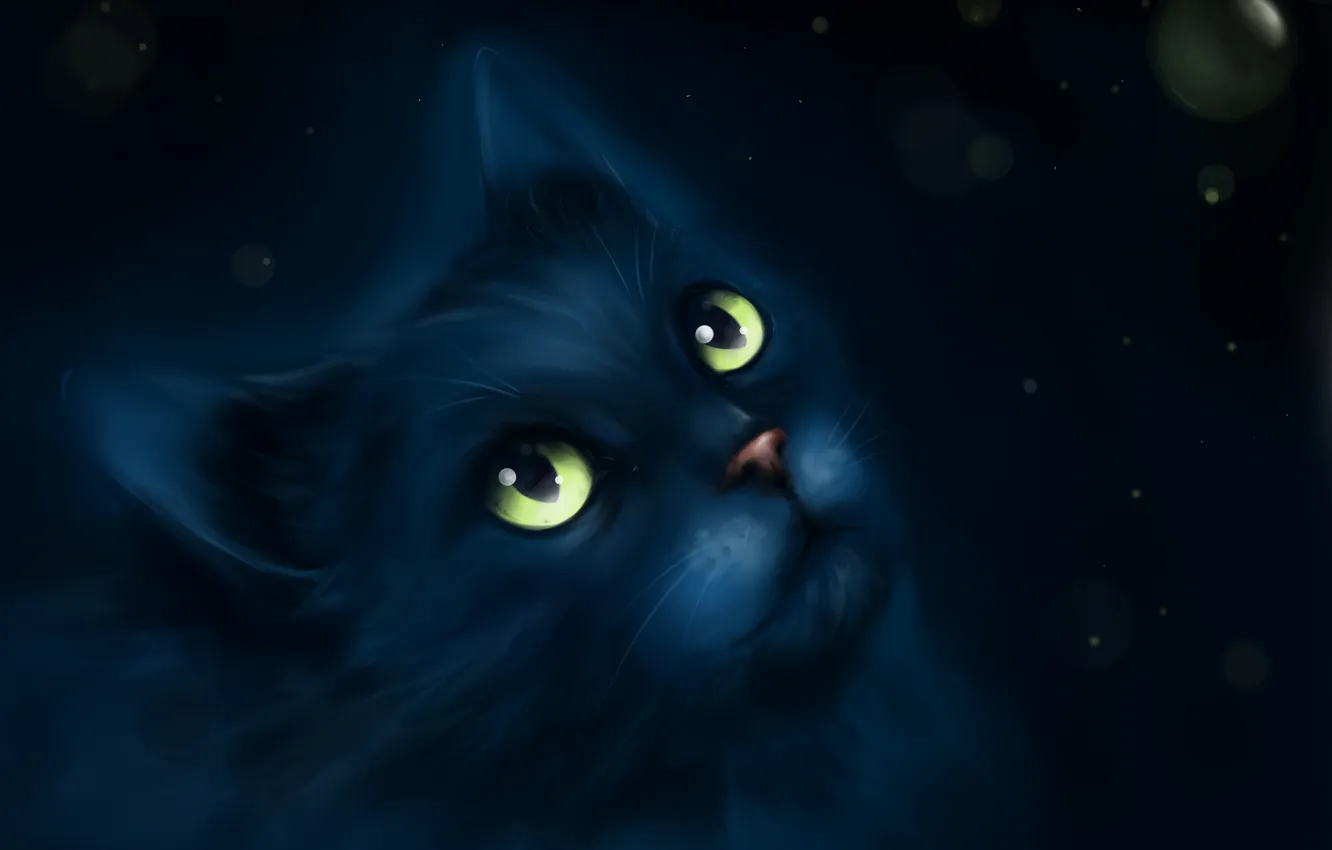 Photo wallpaper look, art, painting, panache, black cat, rimary
