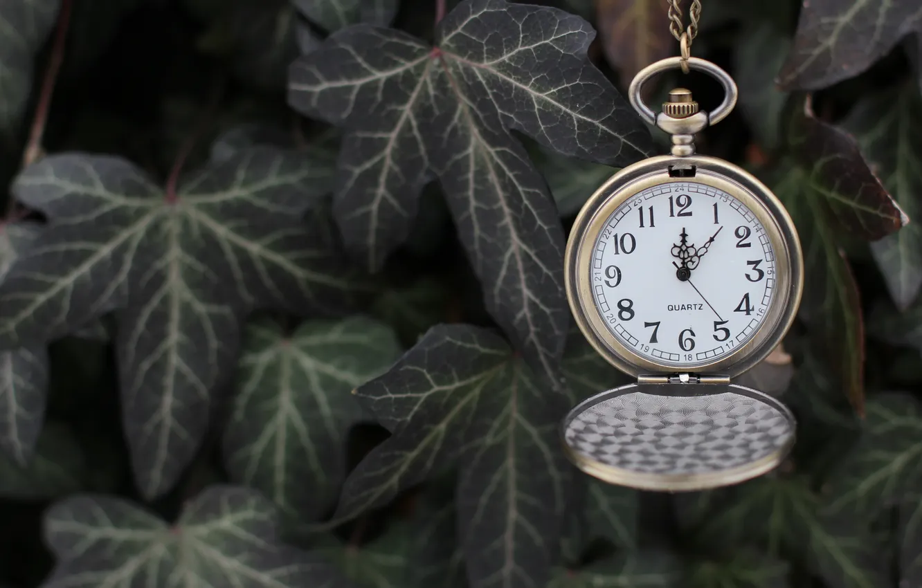 Photo wallpaper leaves, arrows, watch, figures