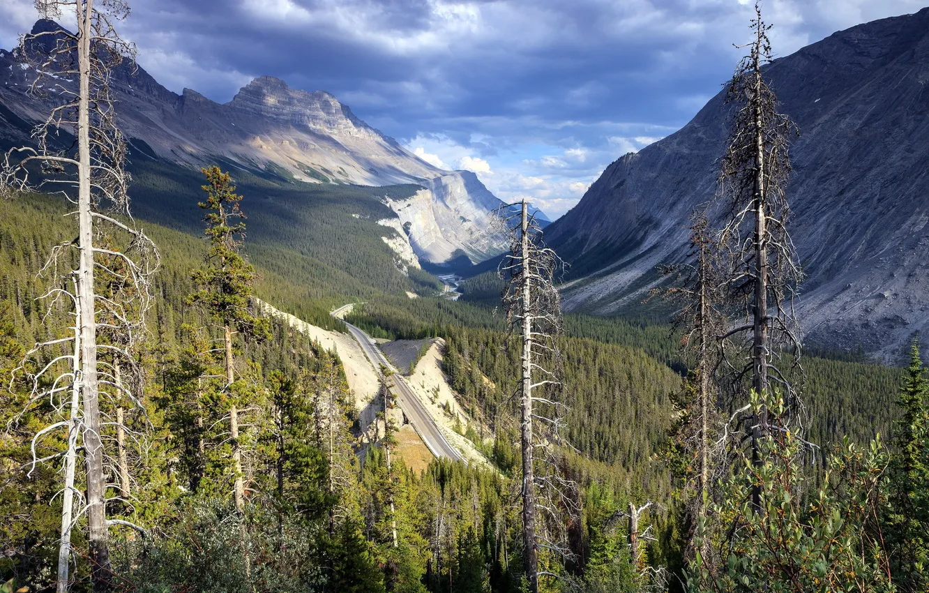 Photo wallpaper road, landscape, mountains