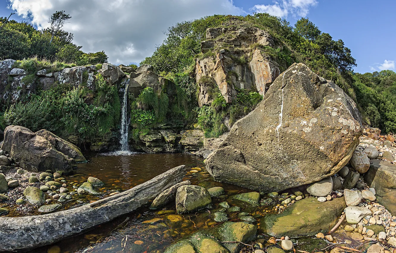 Photo wallpaper trees, mountains, stream, stones, rocks, waterfall, moss, the bottom