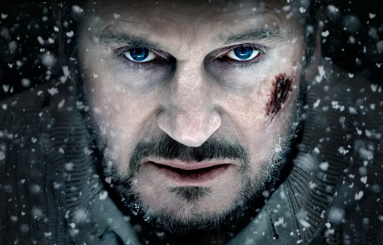 Photo wallpaper look, actor, Liam Neeson, Liam Neeson, The Grey