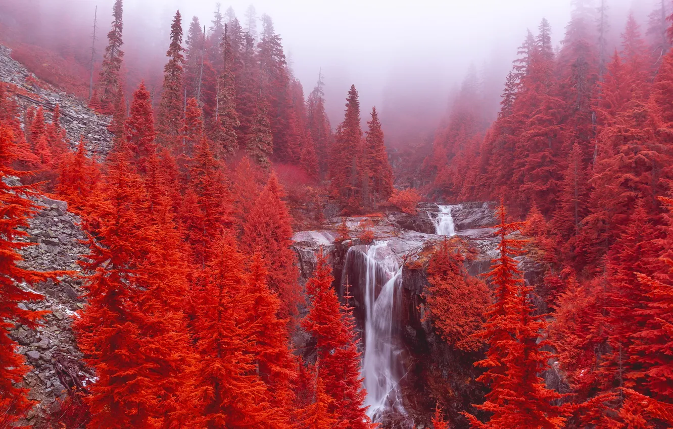 Photo wallpaper United States, Washington, Denny Creek, Keekwulee Falls