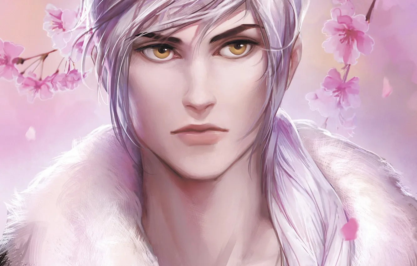 Photo wallpaper branches, face, Sakura, art, guy