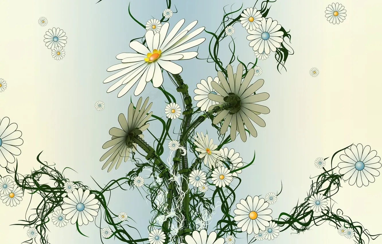 Photo wallpaper flowers, collage, Wallpaper, chamomile, stem, plastic