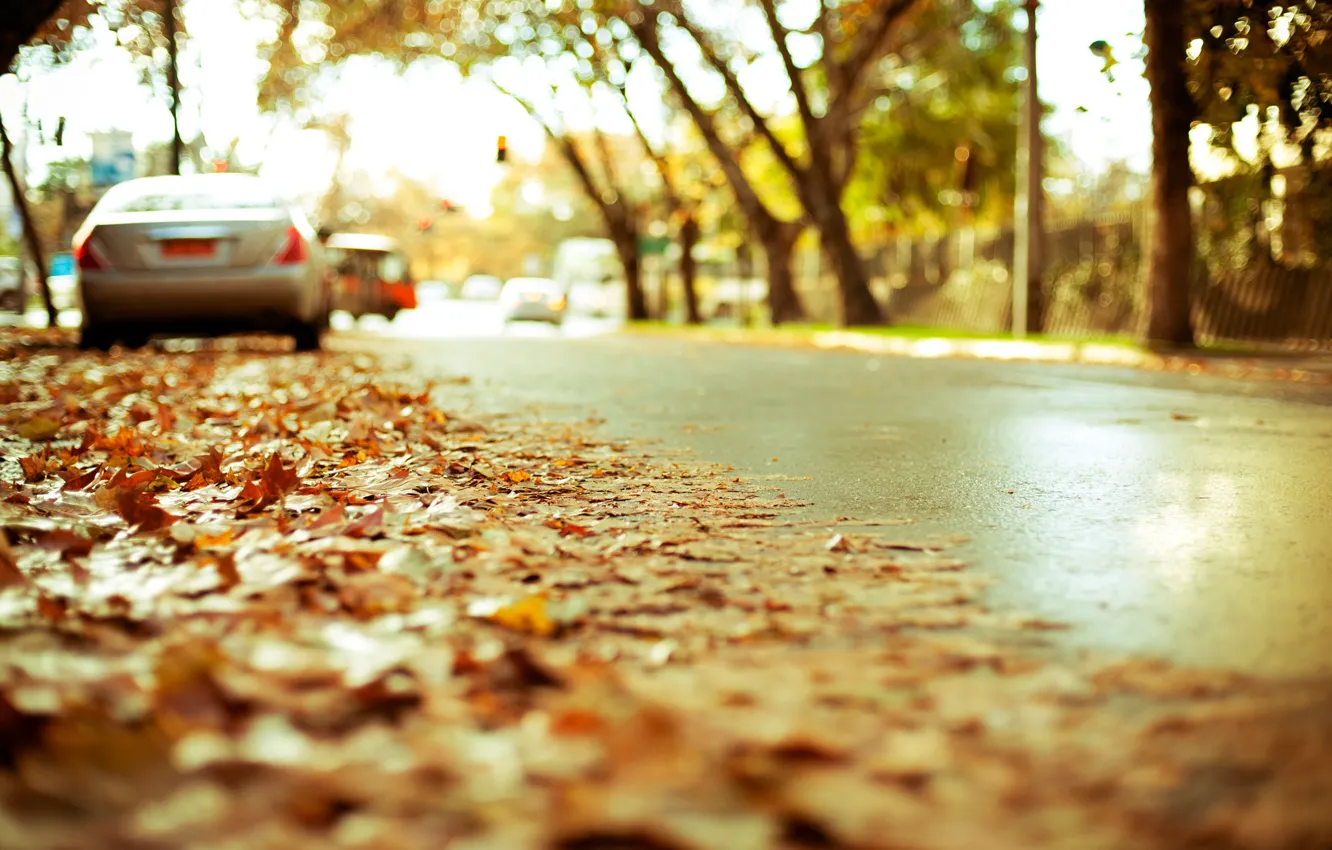 Photo wallpaper road, autumn, asphalt, the city, foliage, blur, highway, effect