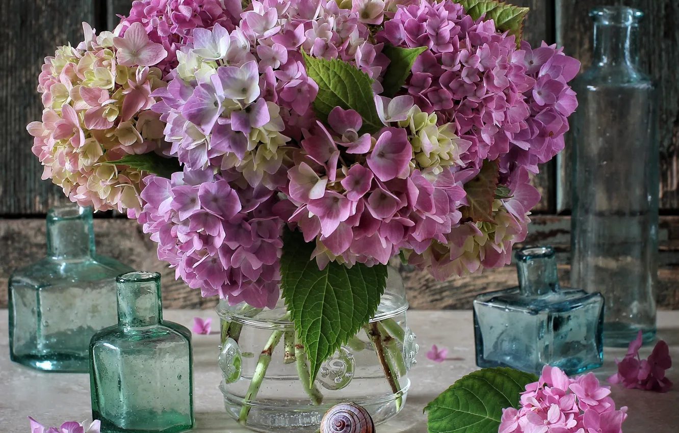 Photo wallpaper style, bouquet, flowers, hydrangea, bottle
