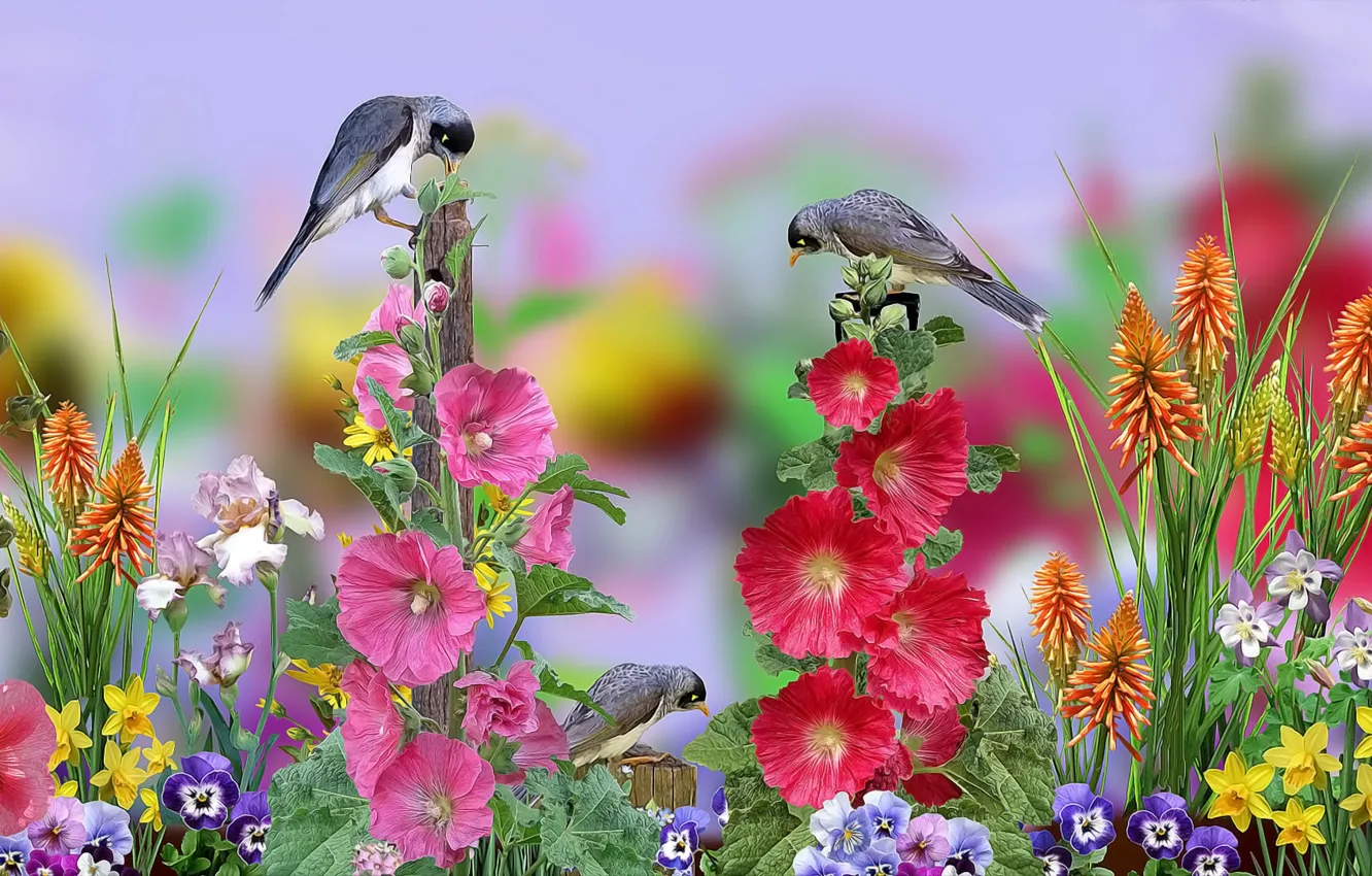 Photo wallpaper graphics, flowers, birds