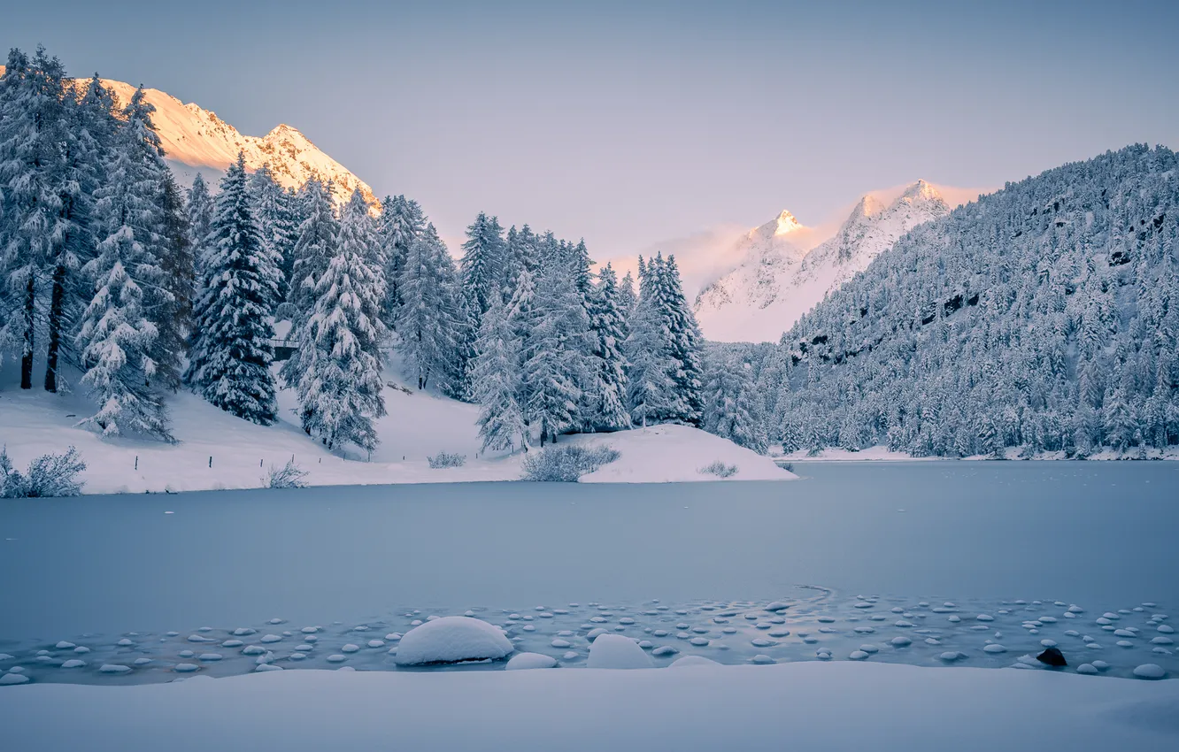 Photo wallpaper ice, winter, forest, snow, mountains, lake, Alps, Switzerland