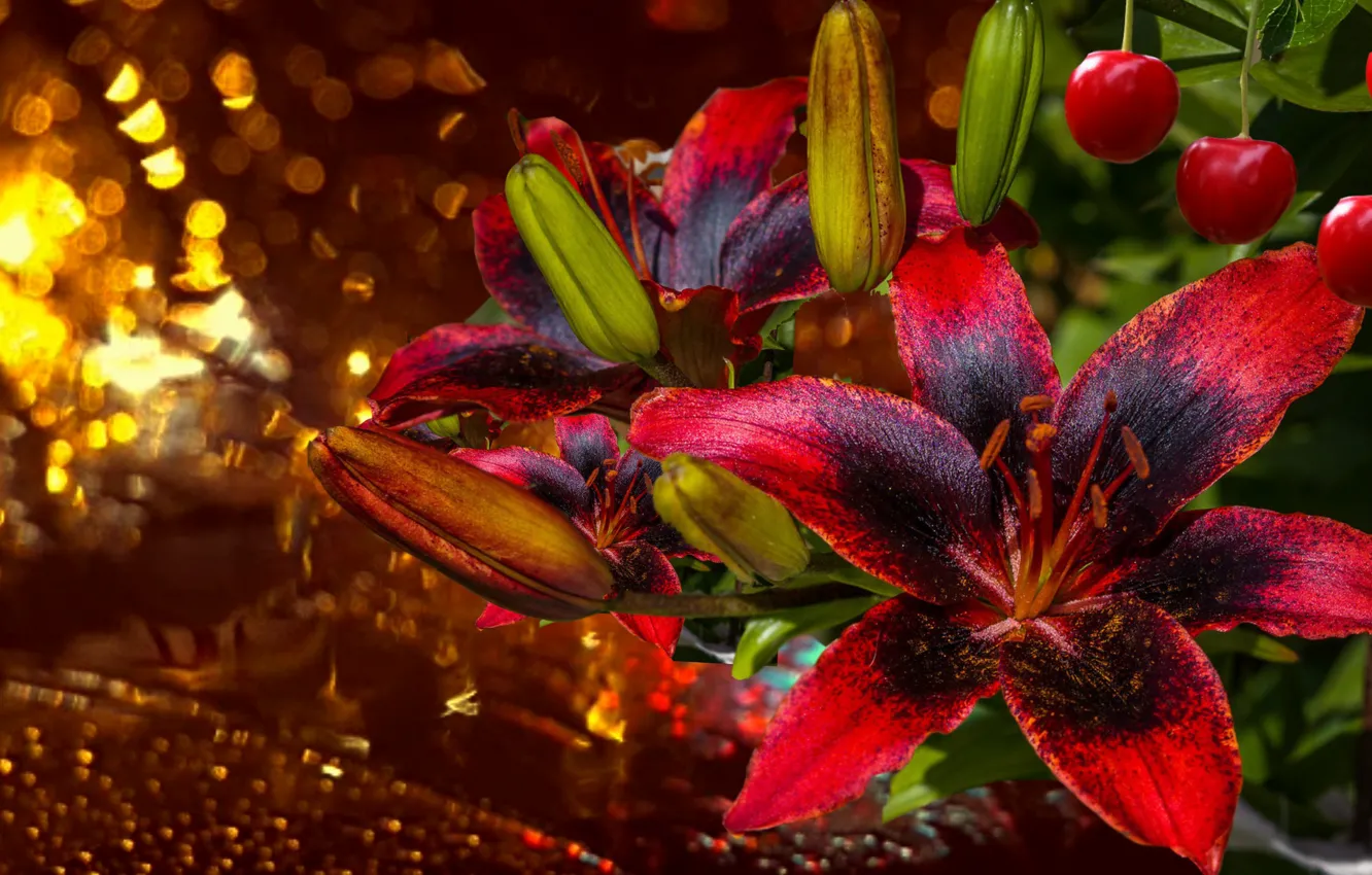 Photo wallpaper night, rain, Lily, bouquet