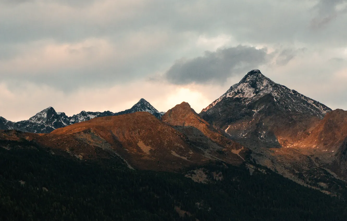 Photo wallpaper forest, the sky, clouds, trees, mountains, clouds, nature, the evening