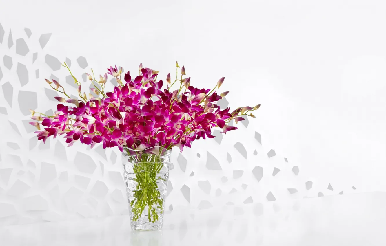 Photo wallpaper flowers, bouquet, vase, Purple, orchids, Vase, Orchids