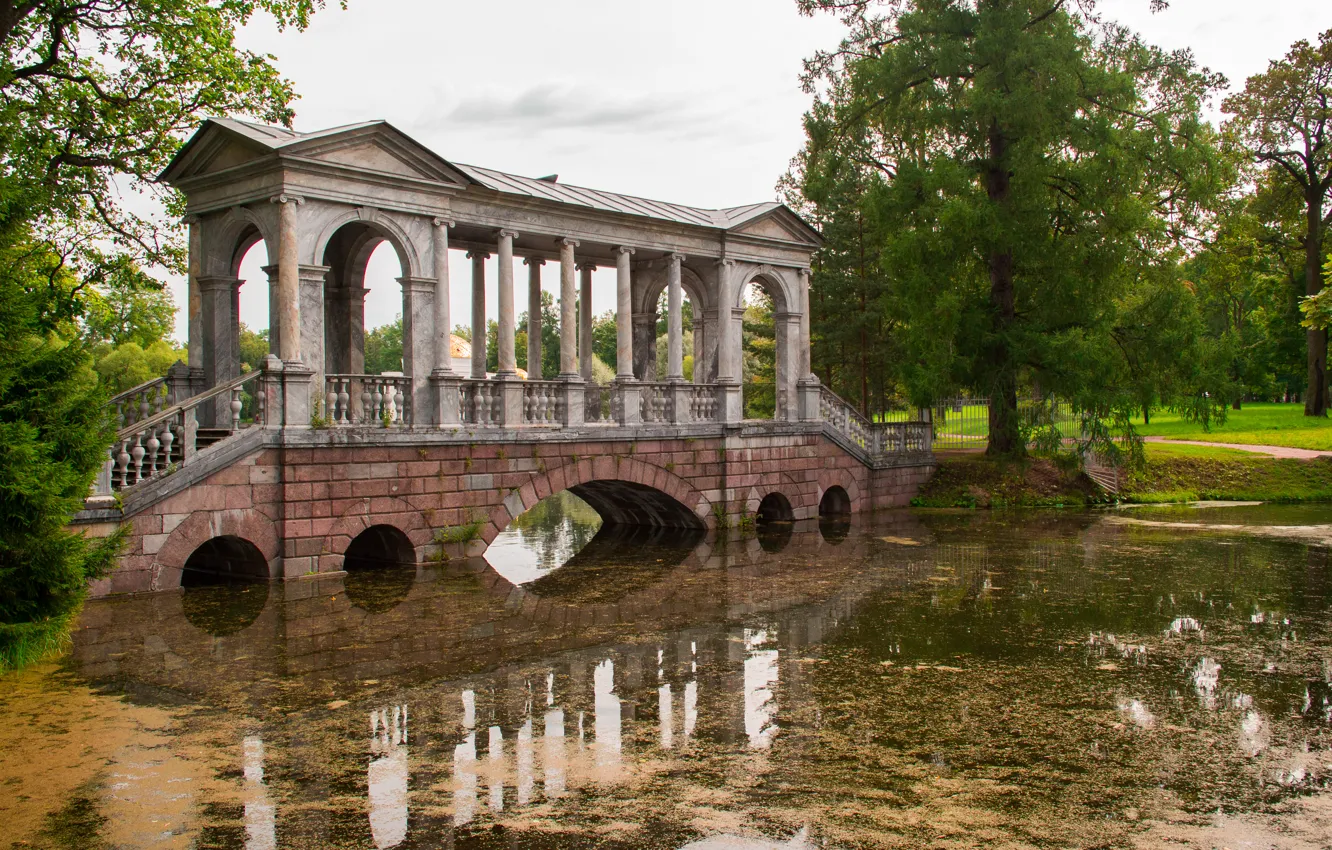 Photo wallpaper bridge, pond, Park, Pushkin