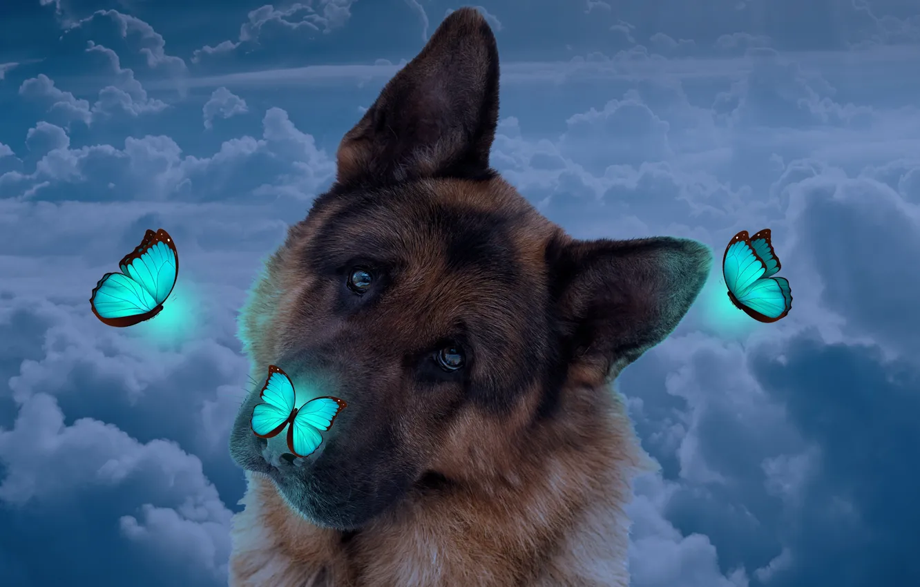 Photo wallpaper sadness, the sky, eyes, look, face, clouds, lights, blue