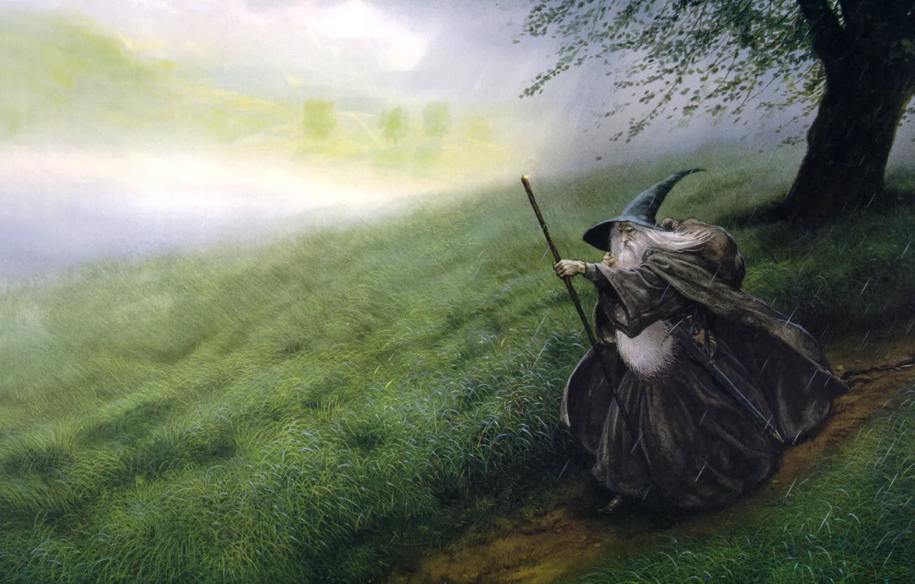 Photo wallpaper field, rain, Gandalf