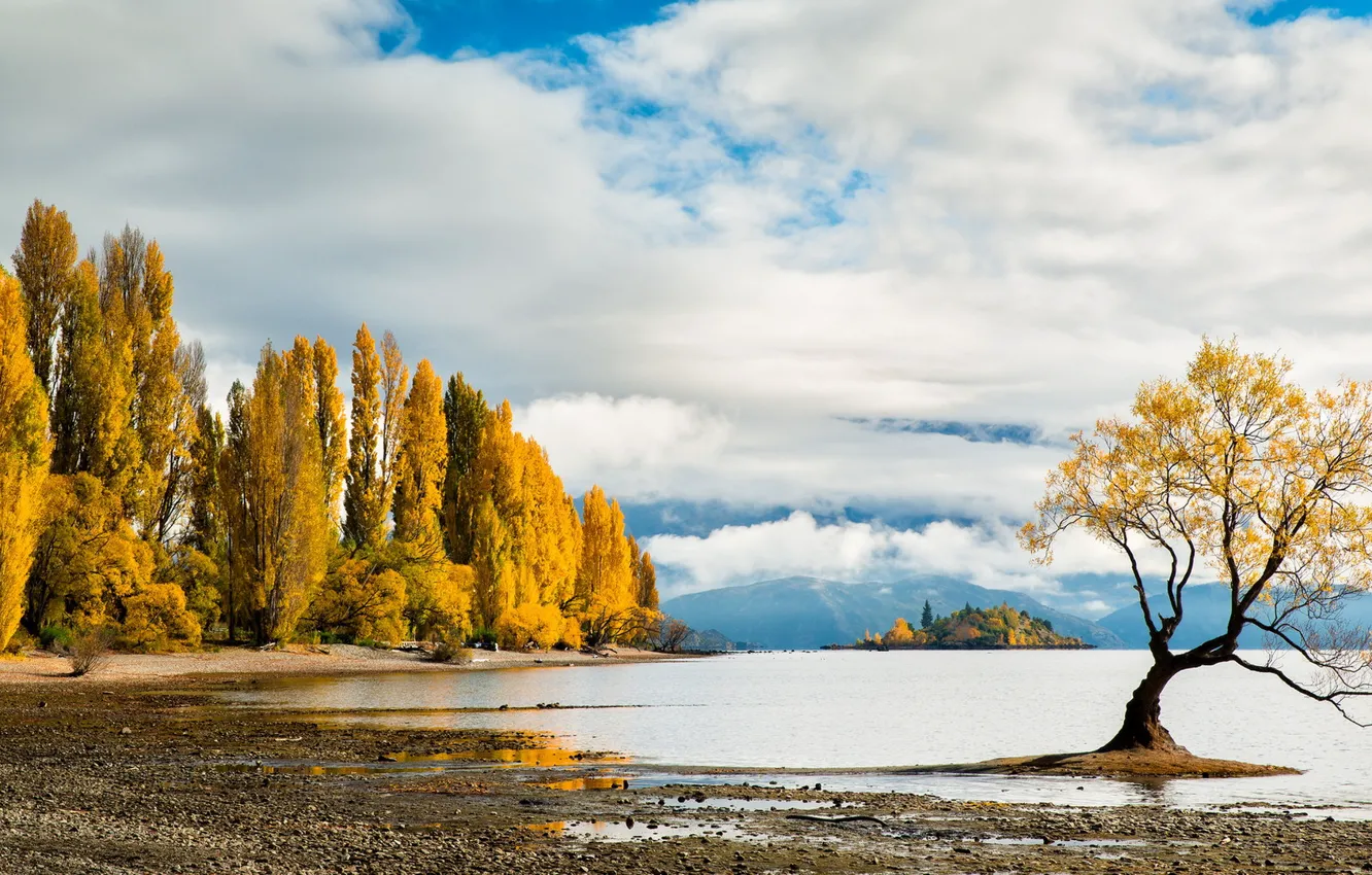 Photo wallpaper autumn, trees, lake