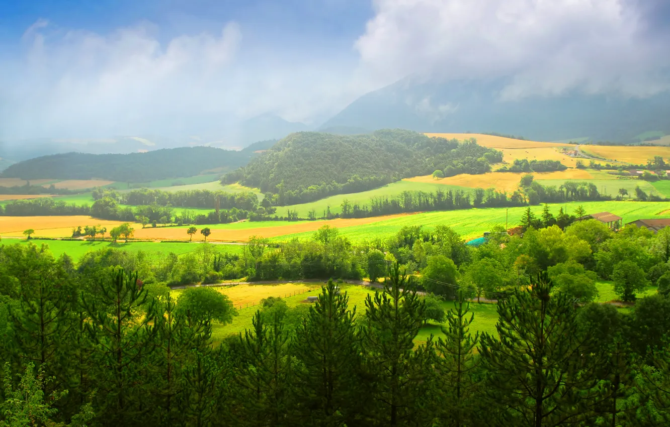 Photo wallpaper trees, mountains, nature, field, home, trees, nature, mountains