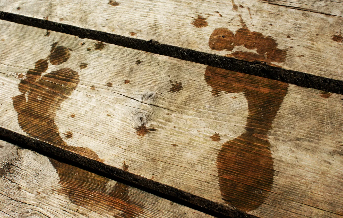 Photo wallpaper traces, the bridge, wood