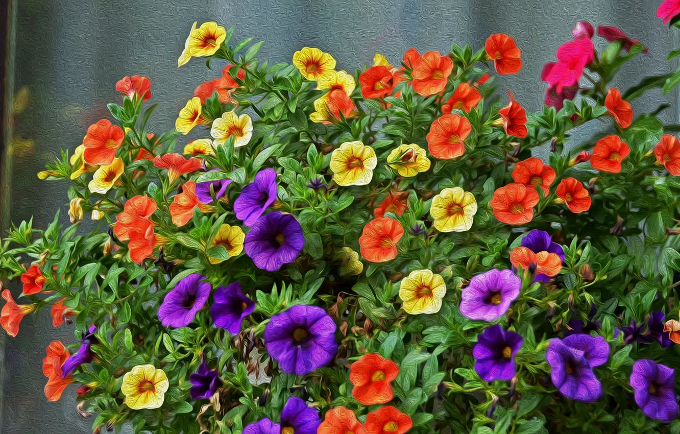 Photo wallpaper treatment, colors, flowers, colorful, flowers