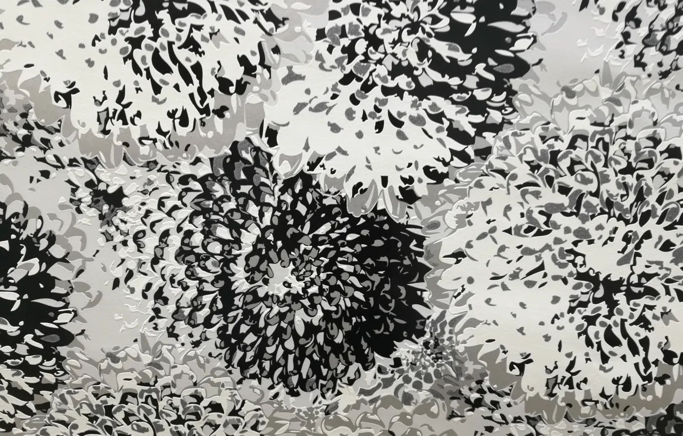 Photo wallpaper abstraction, black&white, Flowers, black and white