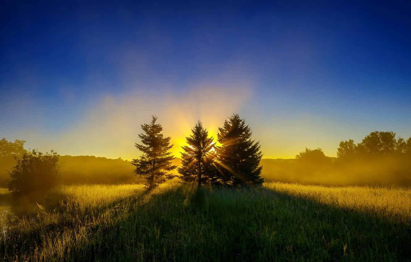 Photo wallpaper field, landscape, nature, fog, morning