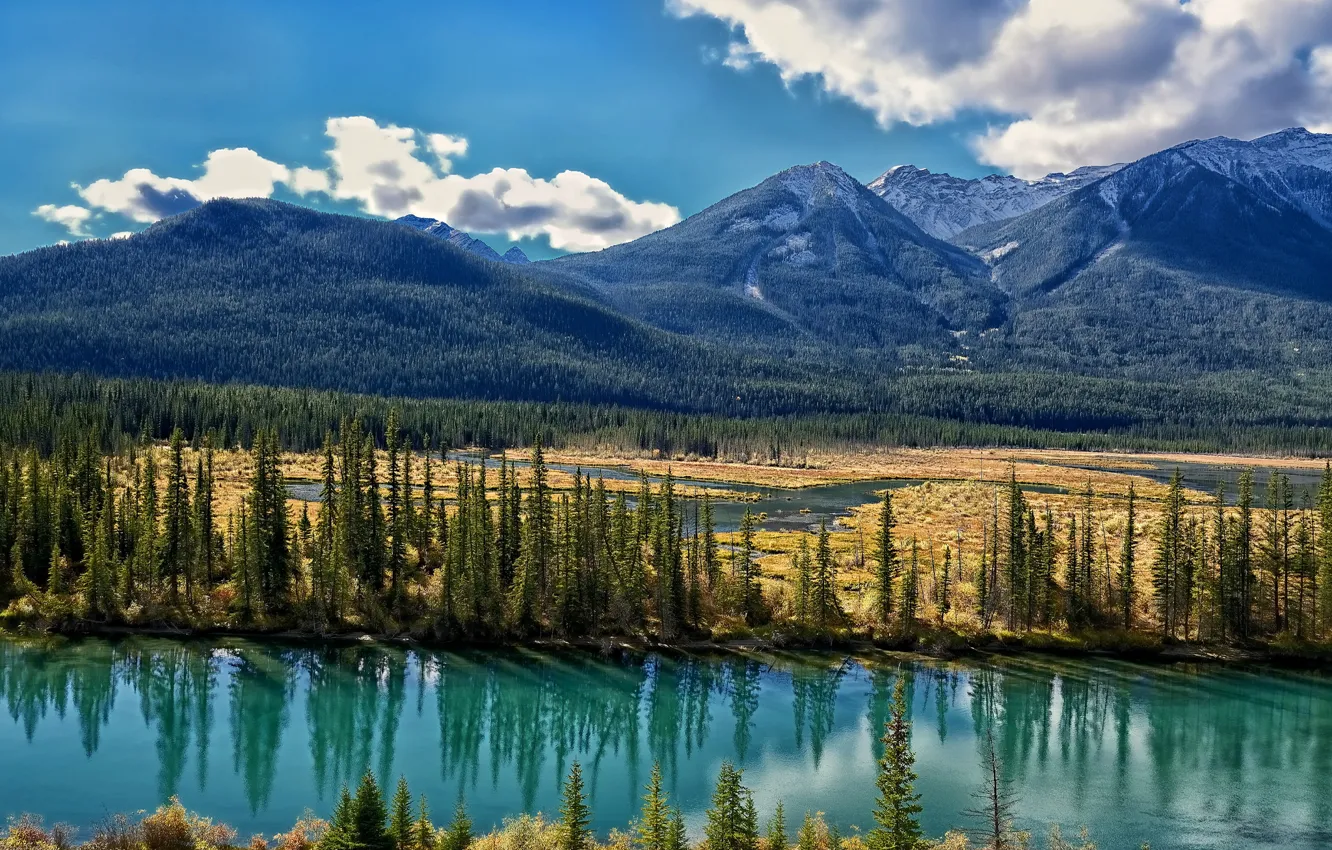 Photo wallpaper trees, mountains, valley, Canada, Albert, Alberta, Canada, the bow river