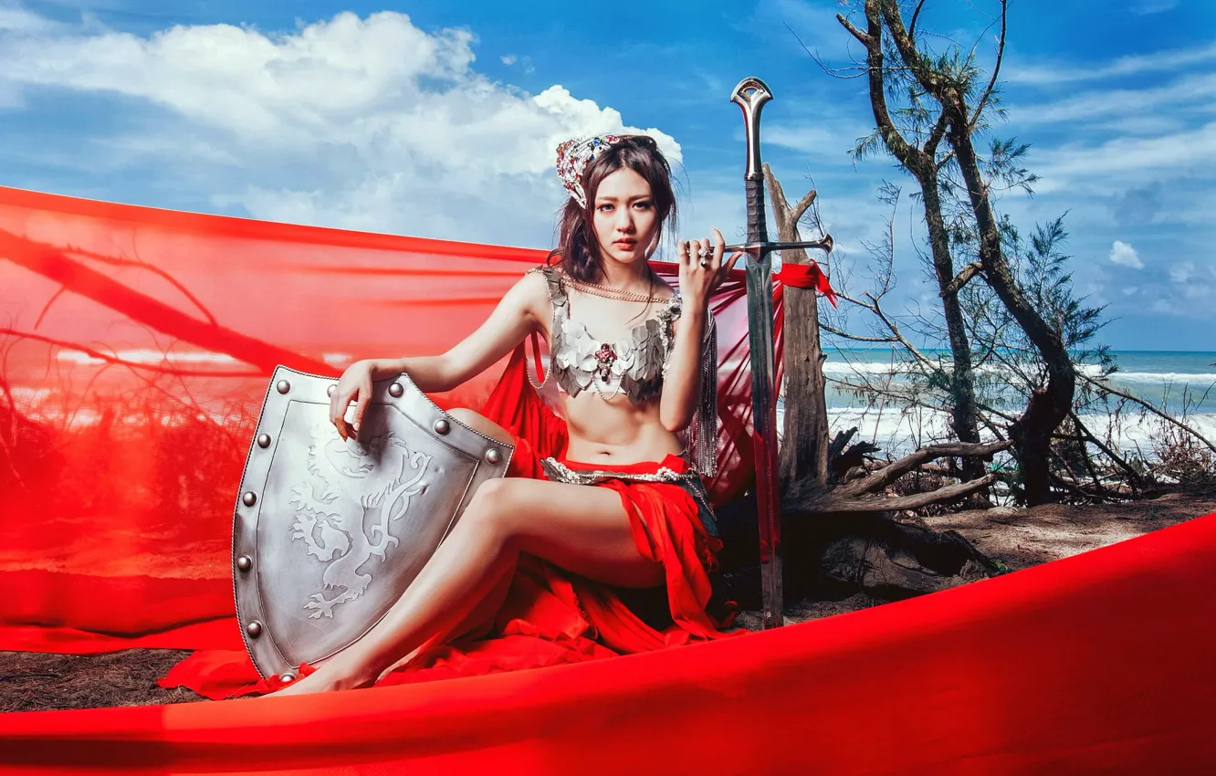 Photo wallpaper girl, sword, shield