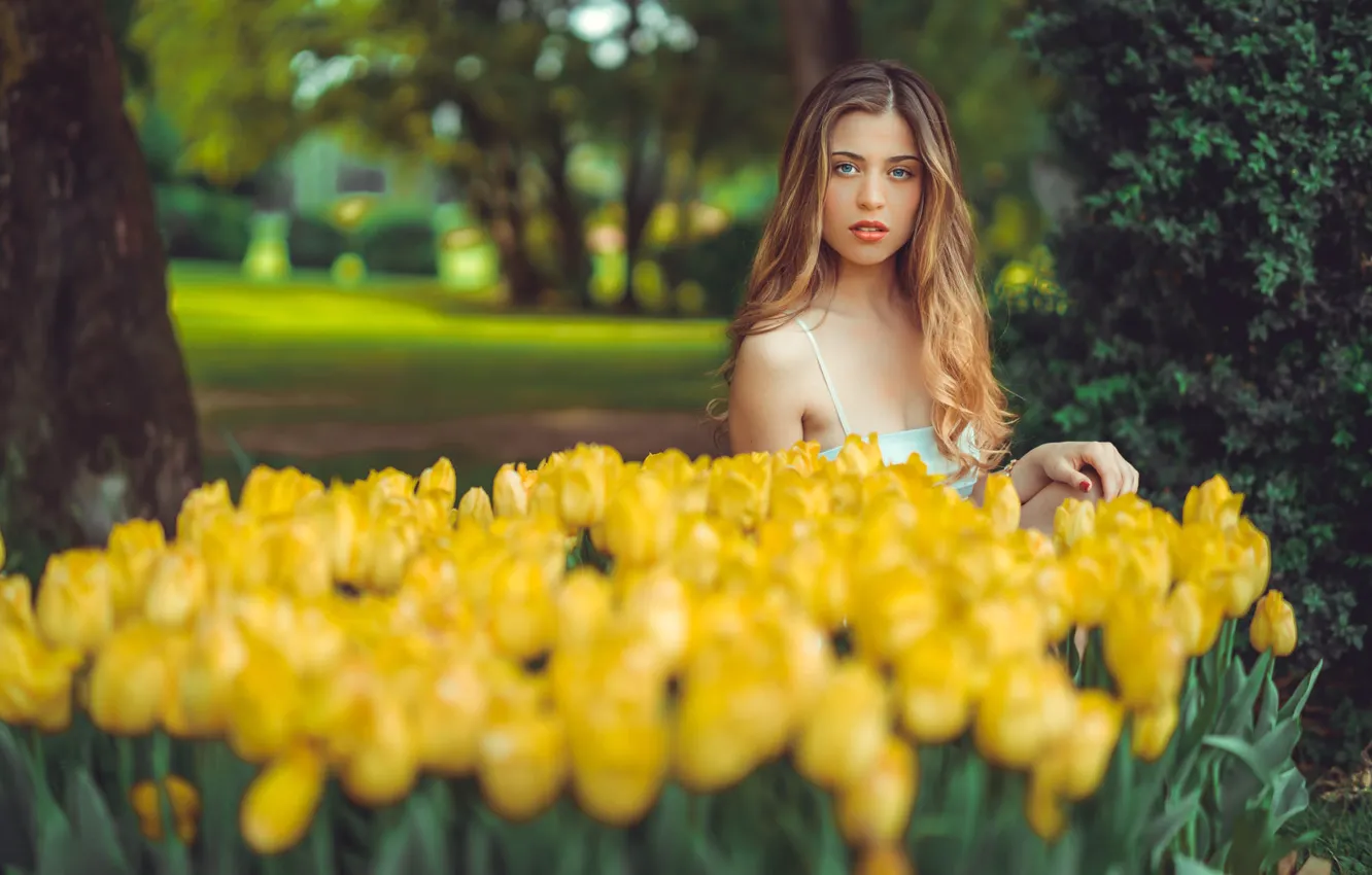 Photo wallpaper trees, flowers, Park, model, tulips, yellow, nature, redhead