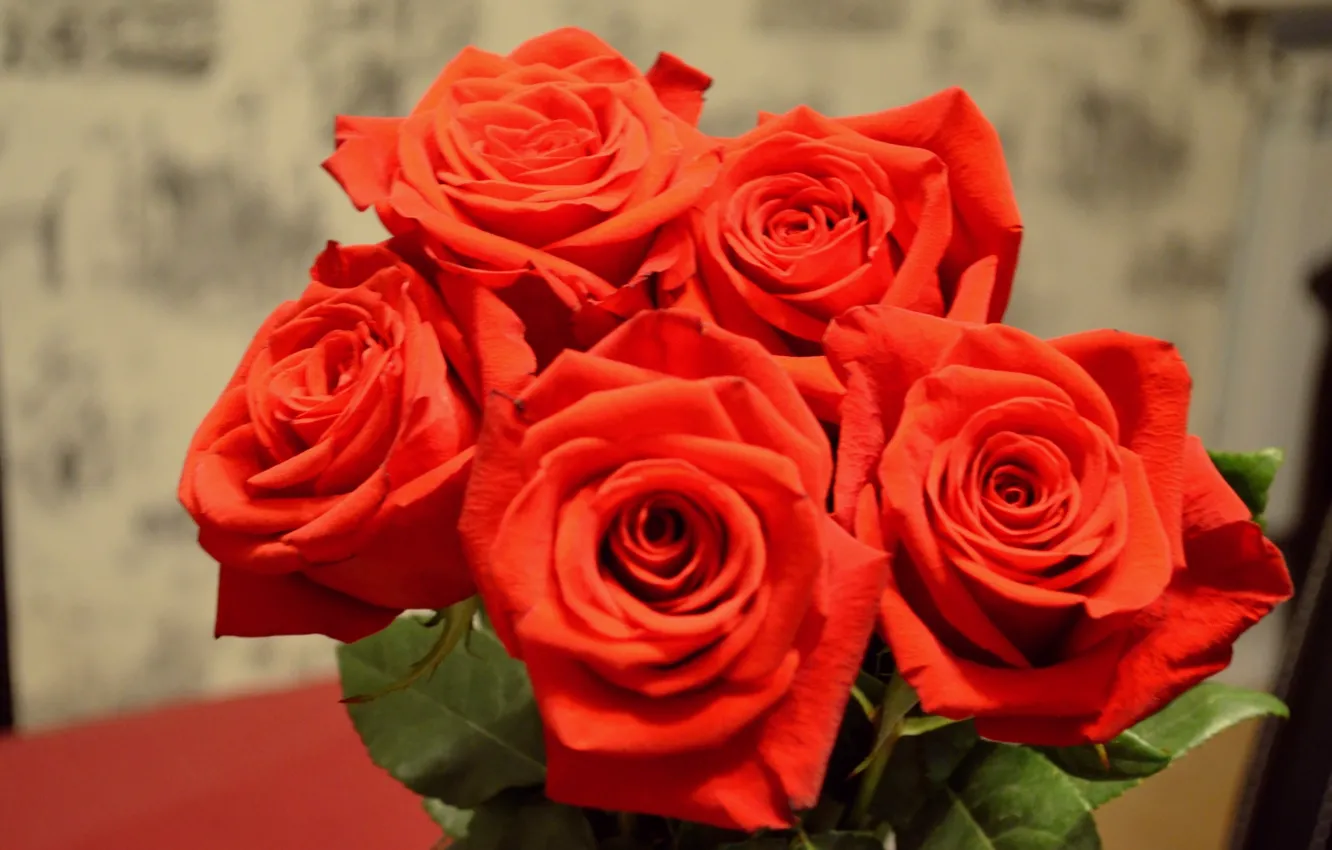 Photo wallpaper flowers, roses, beauty, red