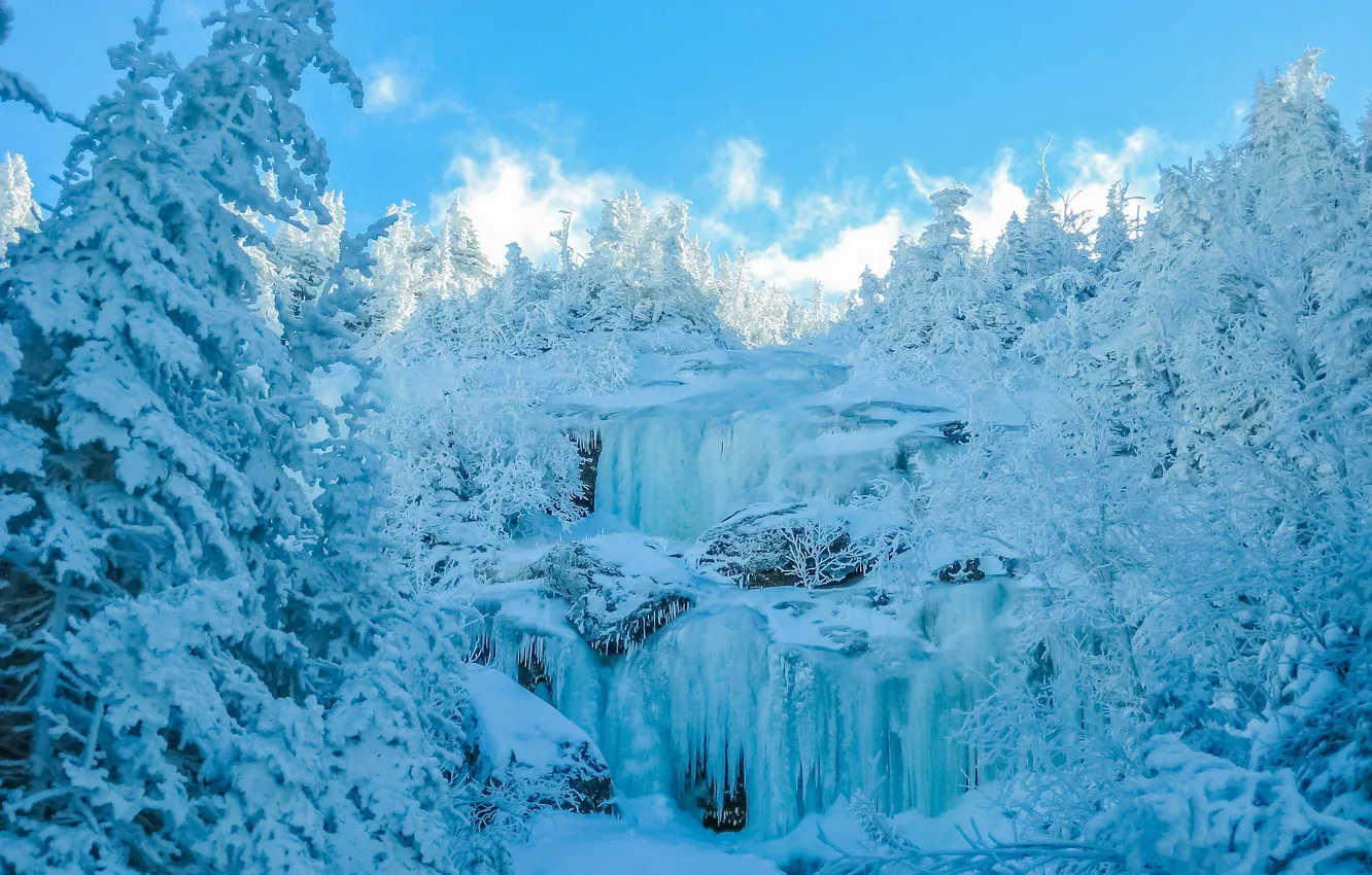 Photo wallpaper ice, winter, forest, the sky, snow, trees, waterfall