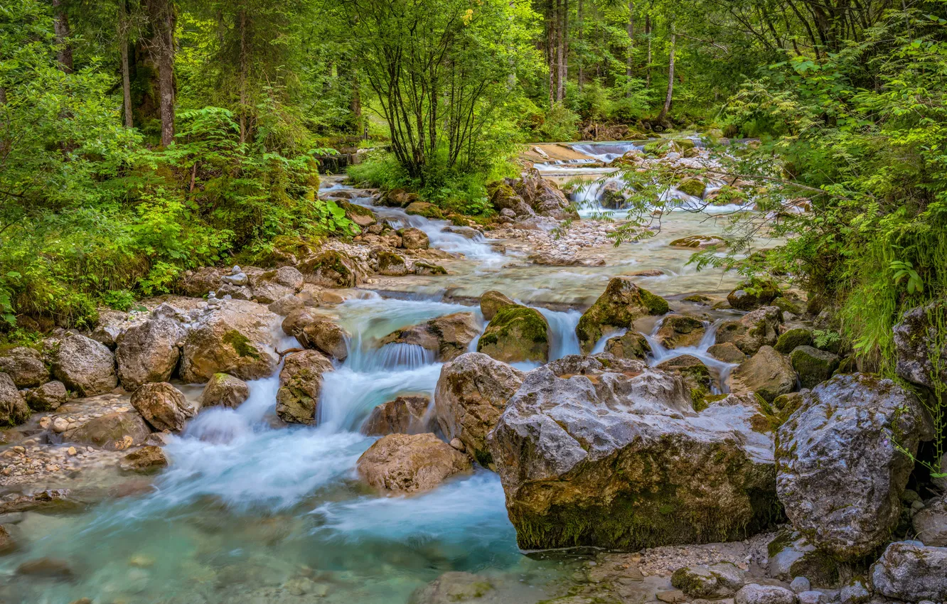 Photo wallpaper forest, nature, river, stones, Germany, Magic forest