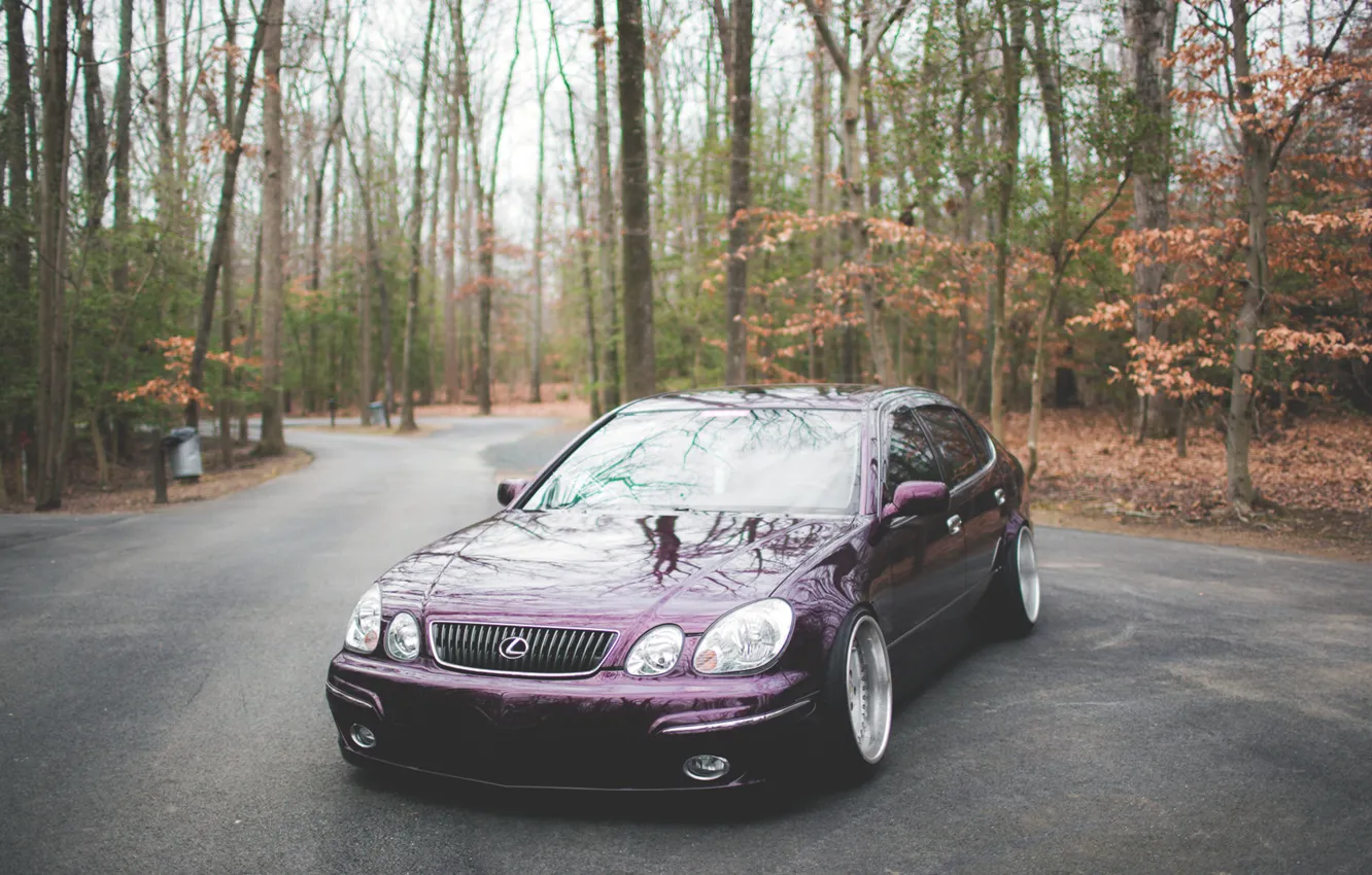 Photo wallpaper forest, trees, lexus, Lexus, gs430