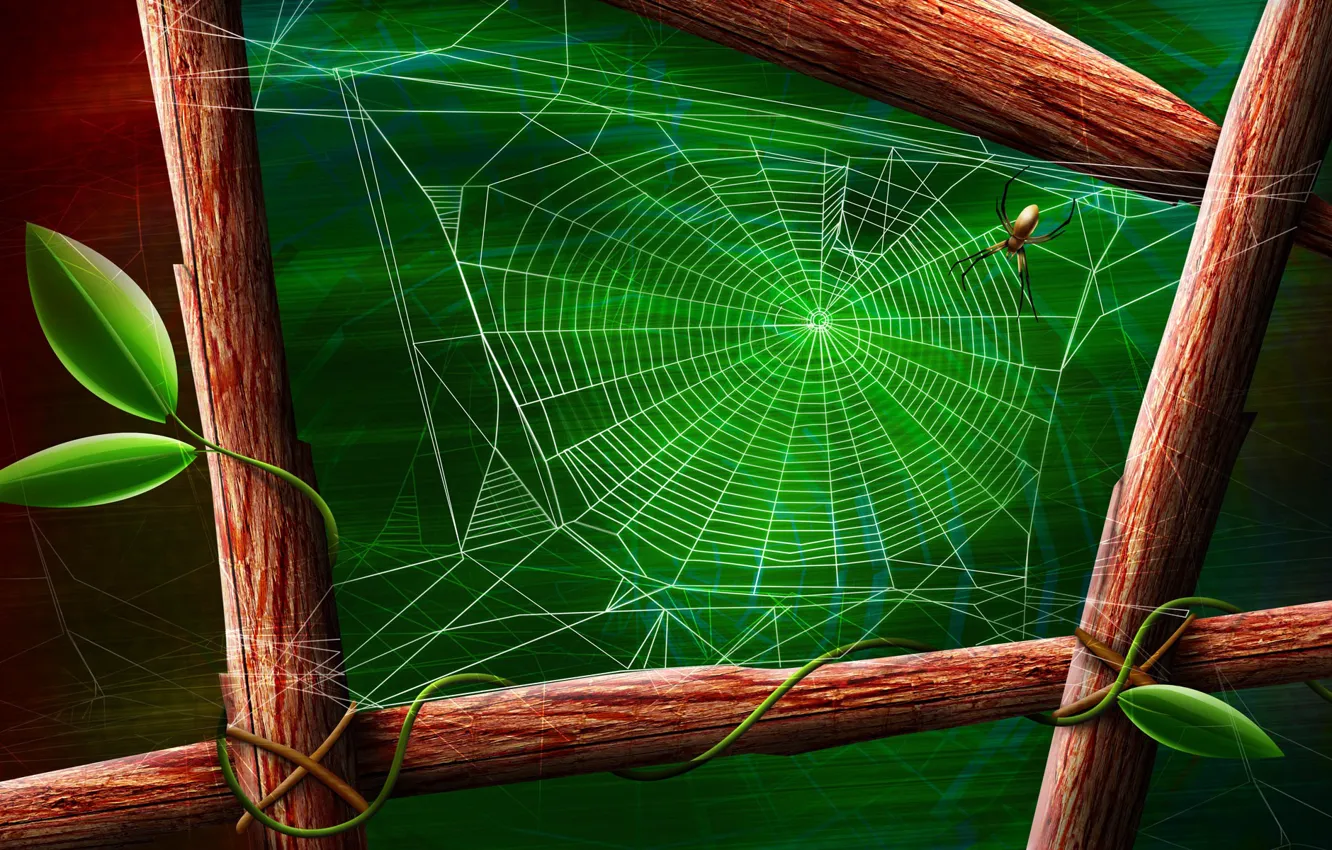 Photo wallpaper sheet, green, spider, Web