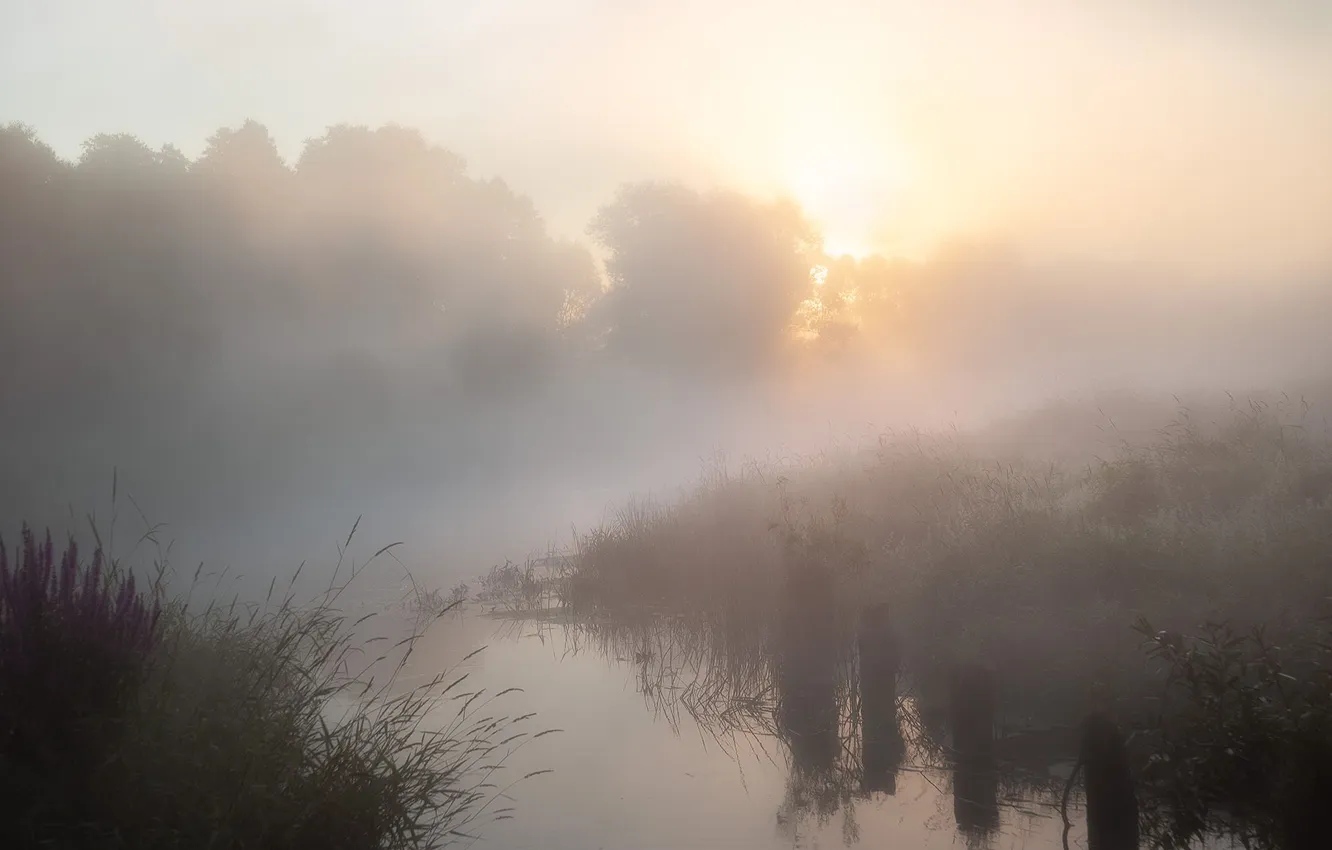 Photo wallpaper summer, dawn, river, Vladimir oblast, Serna, Anastasia Chavykina