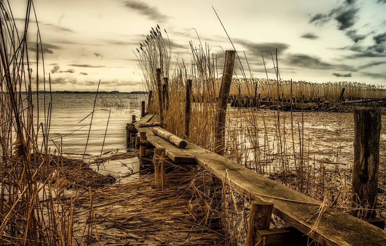 Photo wallpaper landscape, bridge, river, reed