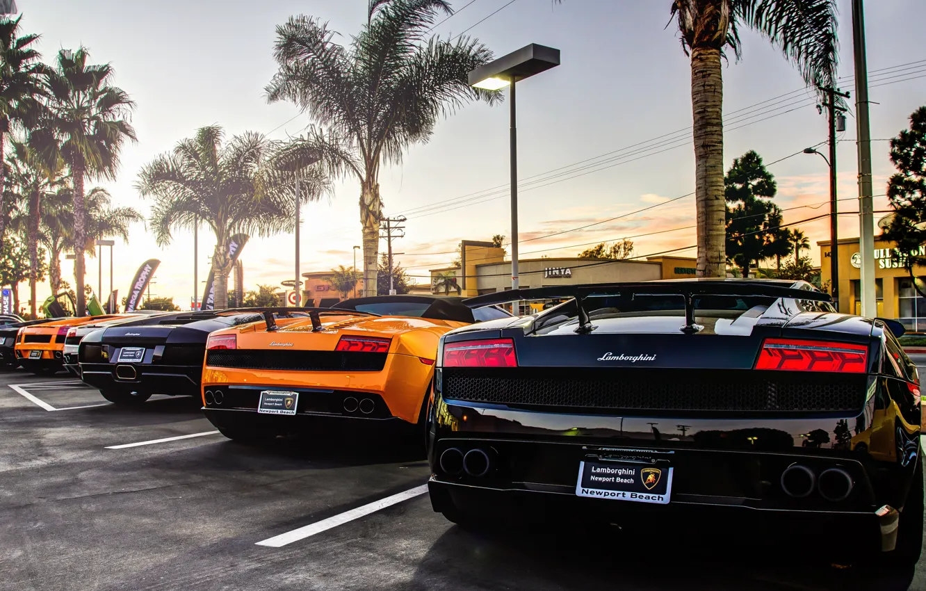 Photo wallpaper Lamborghini, gallardo, murcielago, supercars, aventador