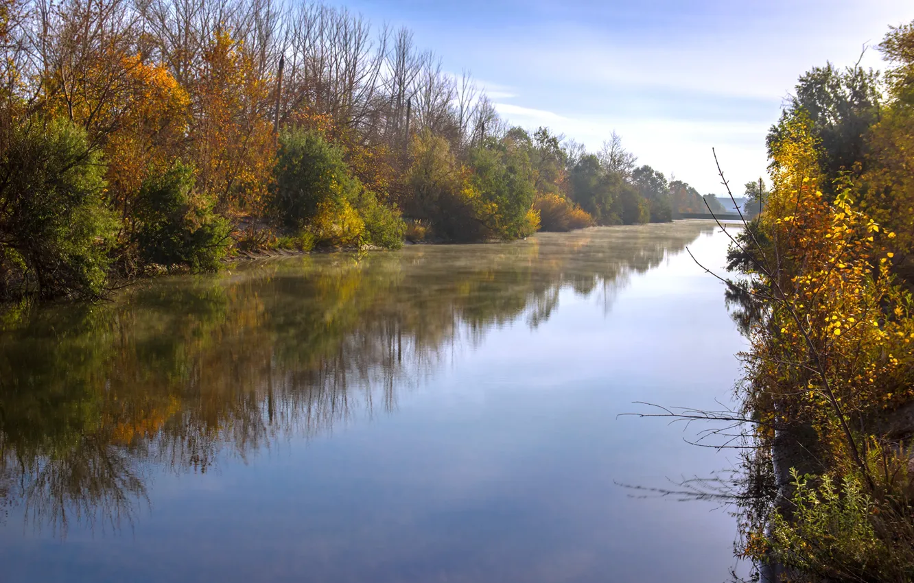 Photo wallpaper autumn, trees, river