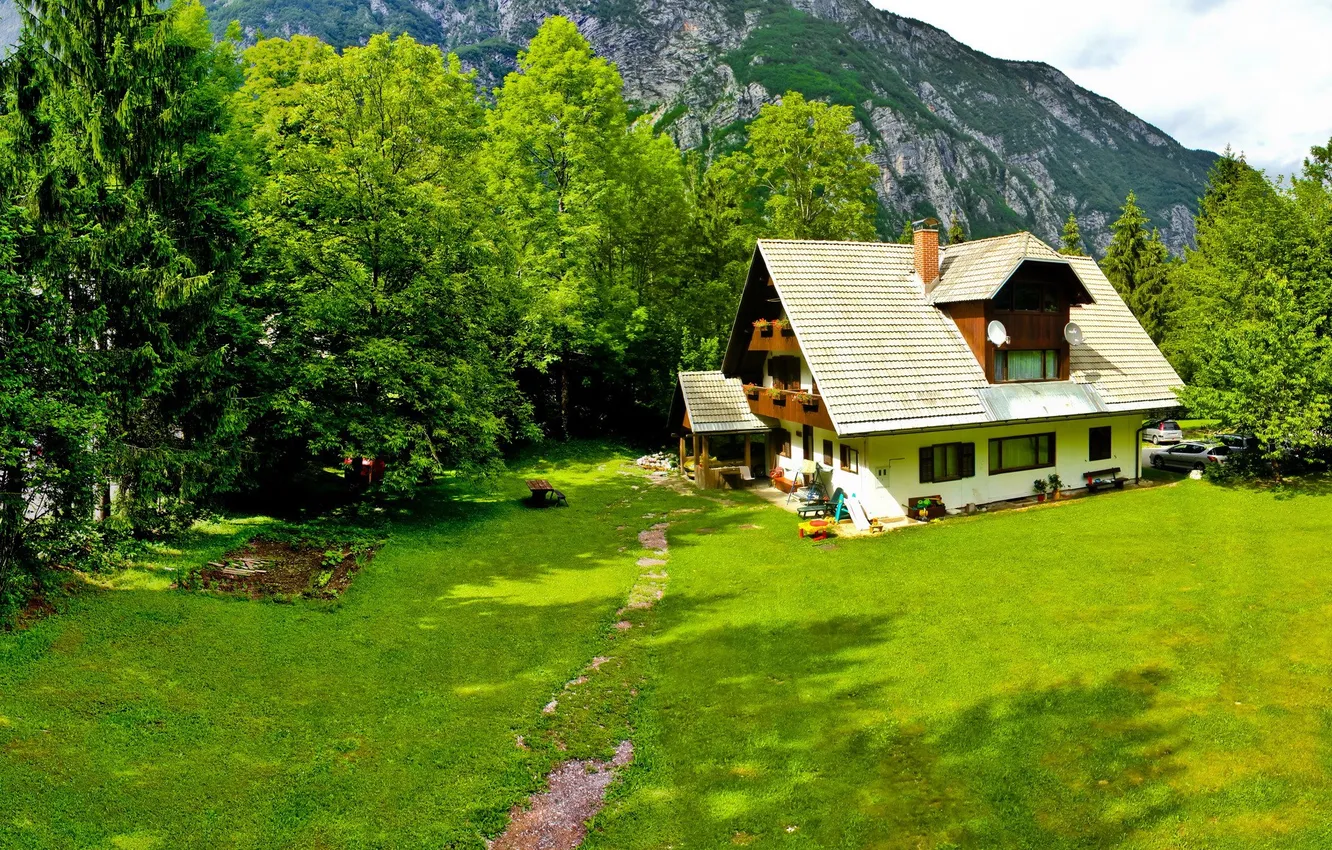 Photo wallpaper forest, the sky, grass, clouds, trees, landscape, mountains, nature