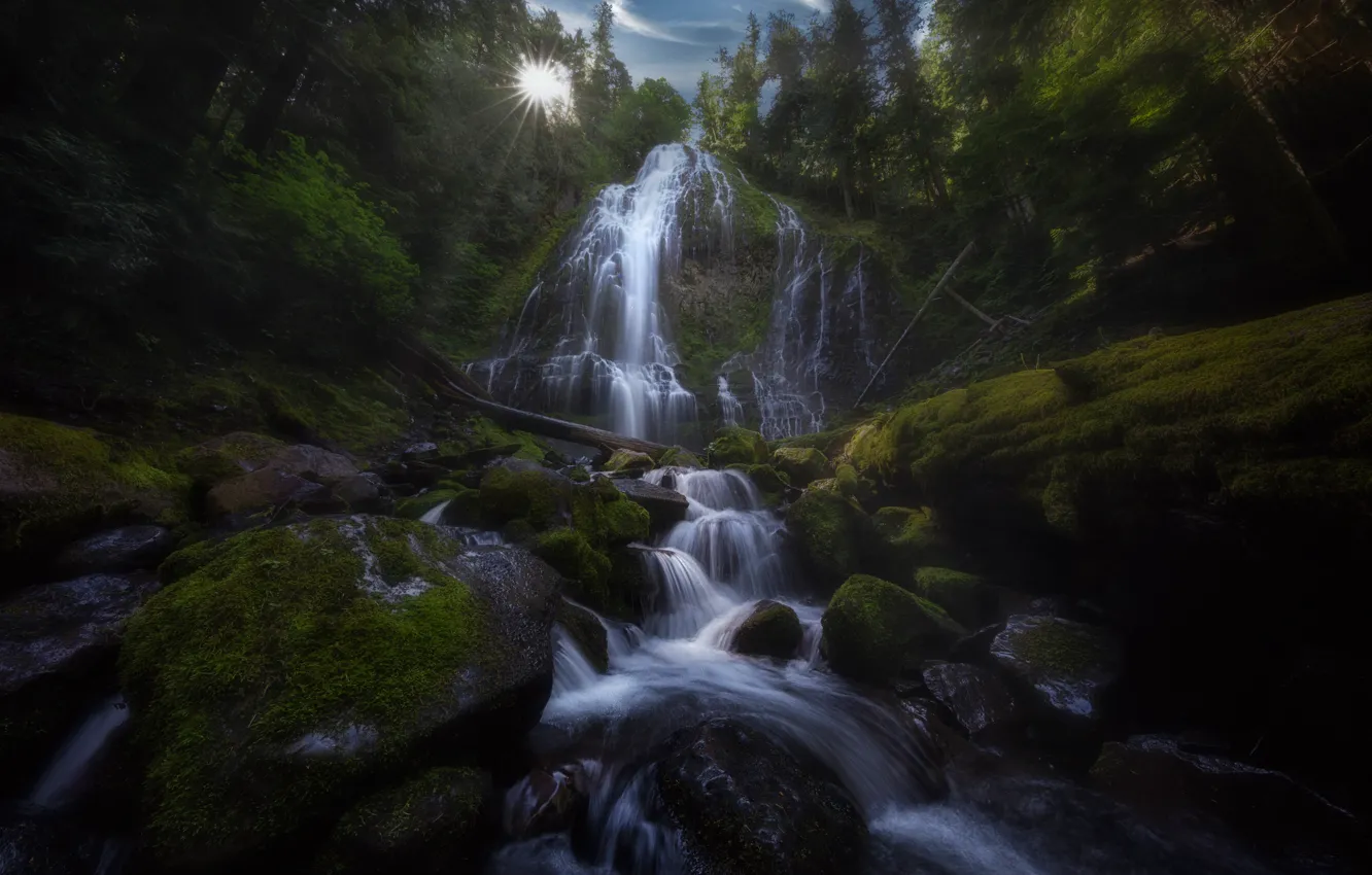 Photo wallpaper forest, stream, stones, waterfall, moss, Oregon, cascade, Oregon