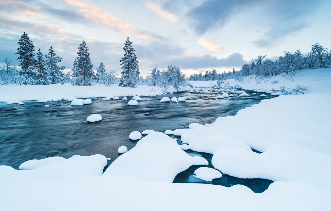 Photo wallpaper winter, snow, trees, landscape, river, tree, forest, river