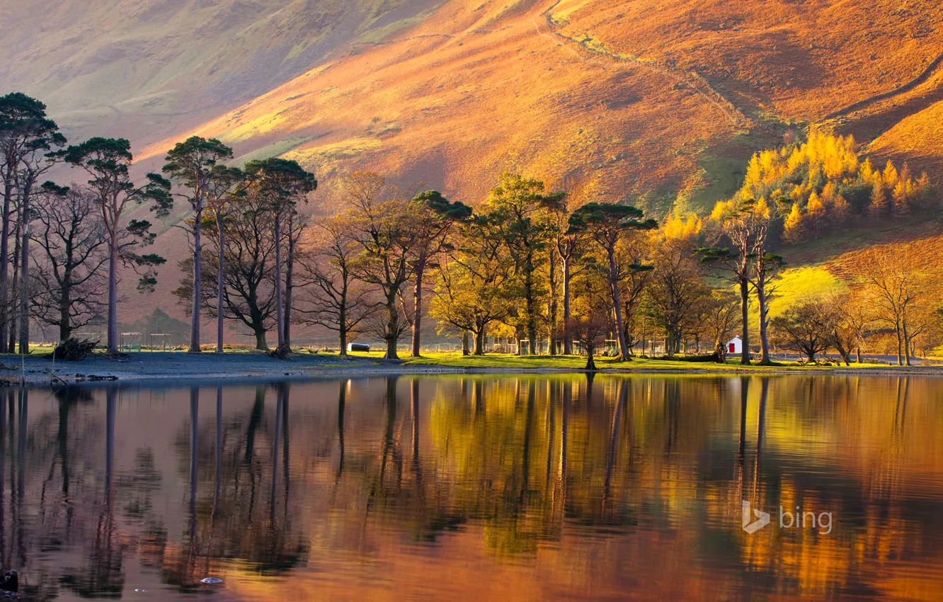Photo wallpaper trees, sunset, mountains, lake, England, home, slope, National Park lake district