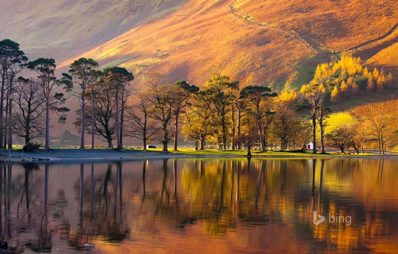 Photo wallpaper trees, sunset, lake, house, England, mountain, slope, National Park lake district