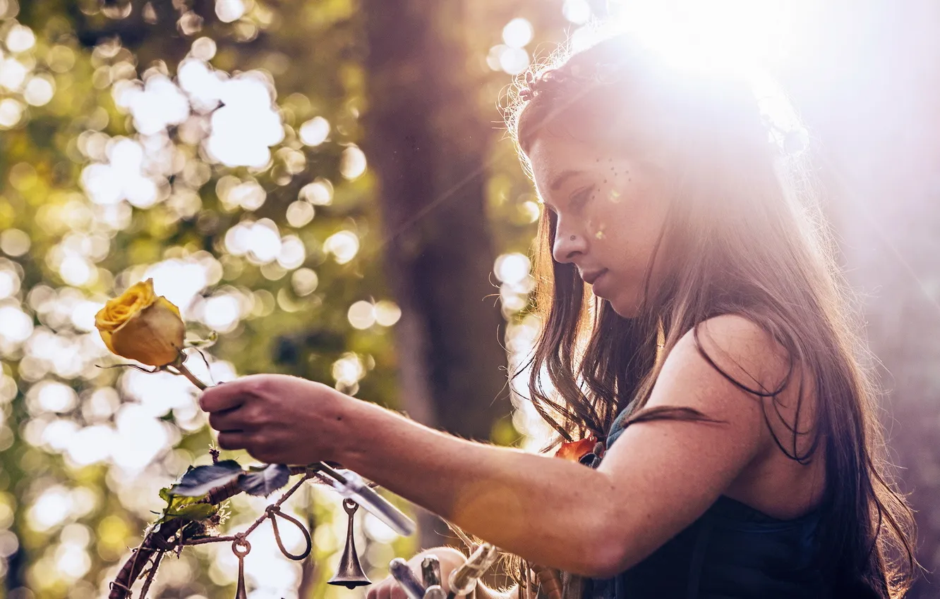 Photo wallpaper girl, light, roses