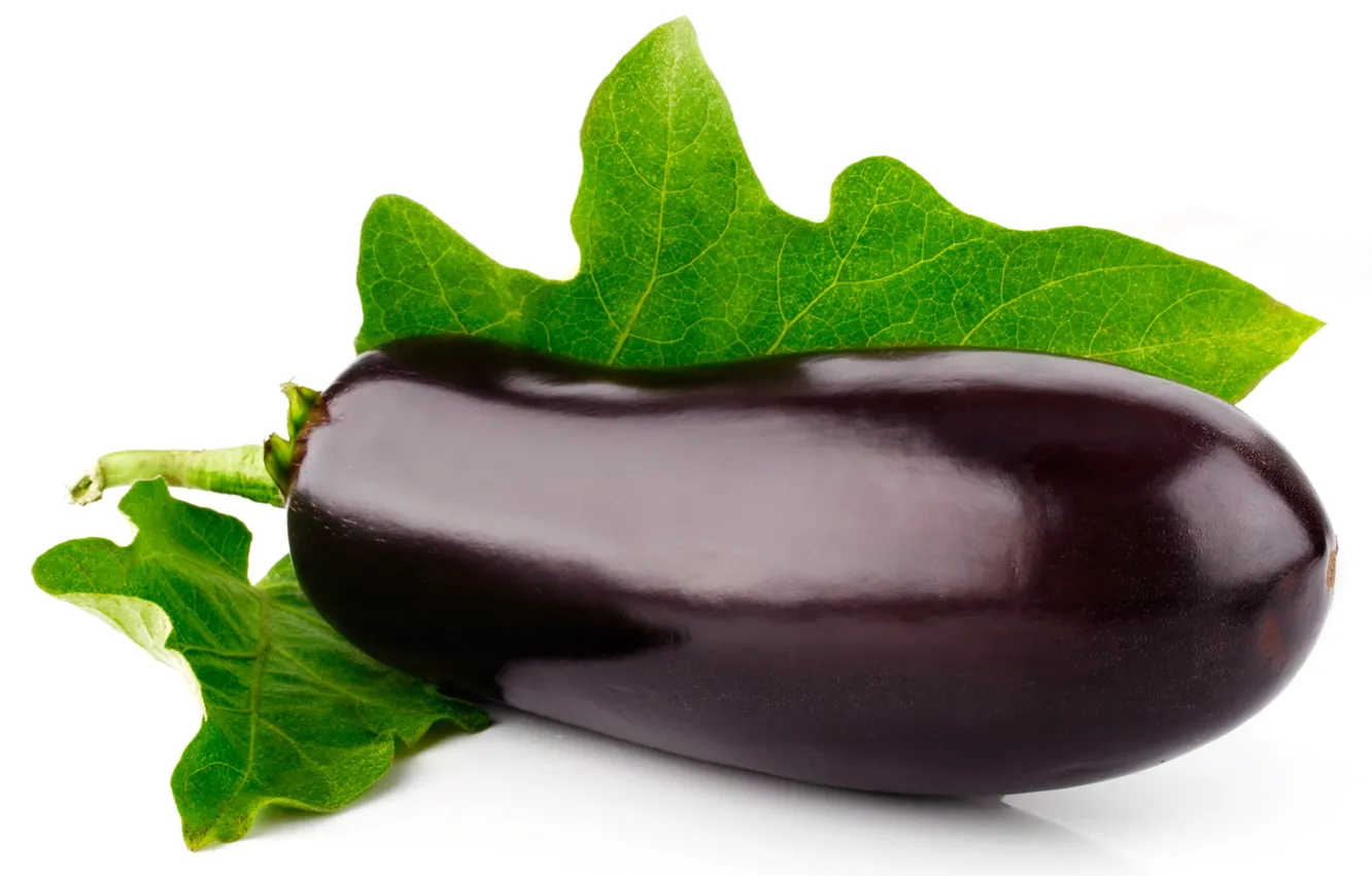 Photo wallpaper leaves, eggplant, white background