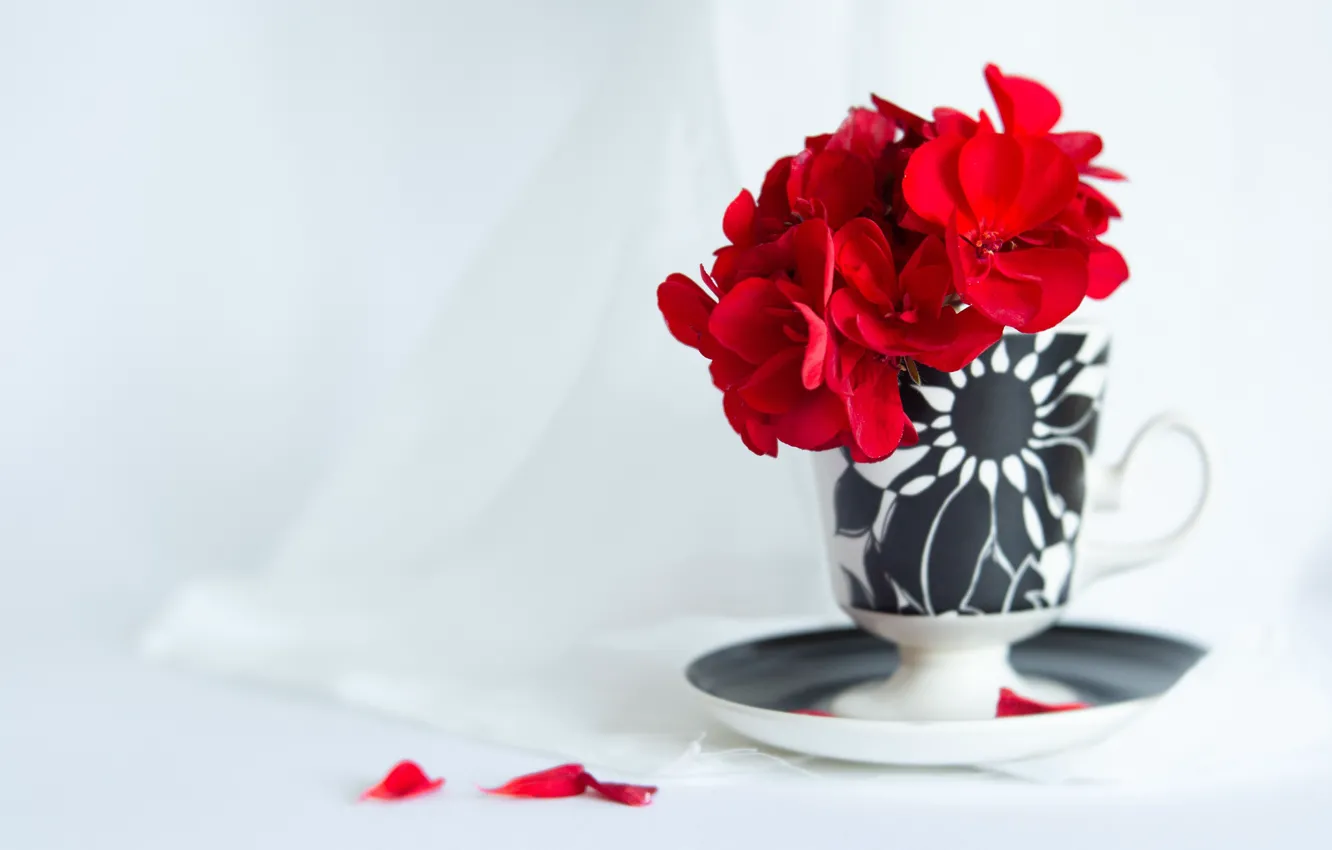 Photo wallpaper red, Cup, geranium
